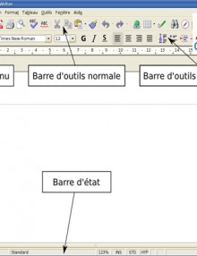 open-office-writer-1