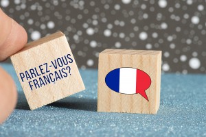 Formation Français – 2 niveaux en ligne – Danslabox