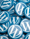 wordpress1