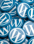 wordpress1