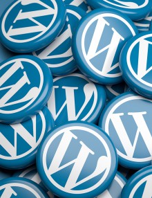 wordpress1