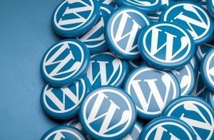 Formation WordPress et WooCommerce en ligne – Danslabox